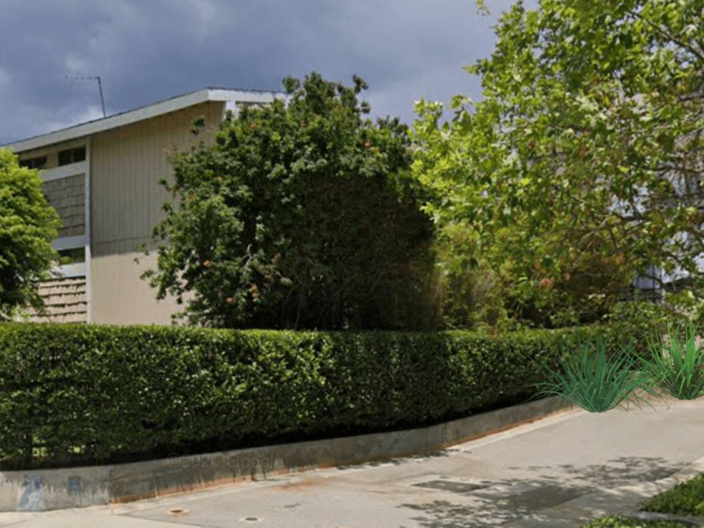 Photos and Video of Strathmore Veteran in Los Angeles, CA